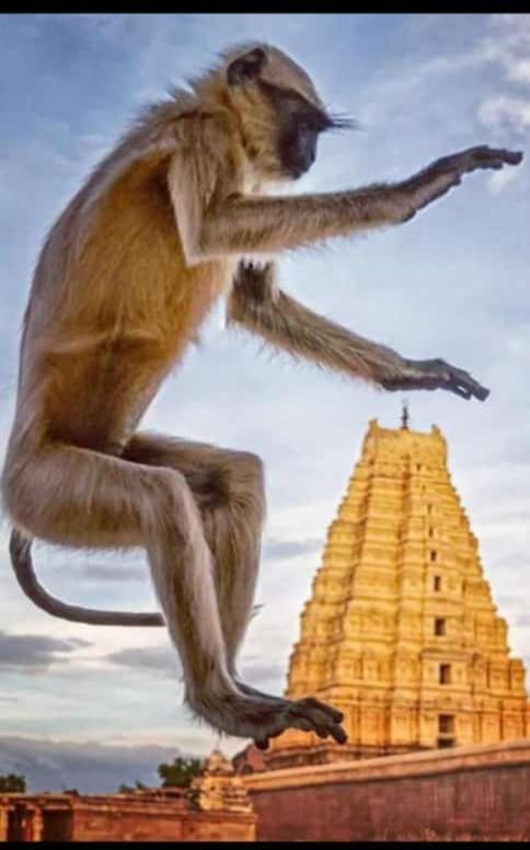 Mamatha Guest Inn Hampi Ngoại thất bức ảnh
