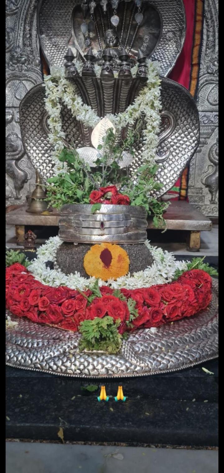Mamatha Guest Inn Hampi Ngoại thất bức ảnh
